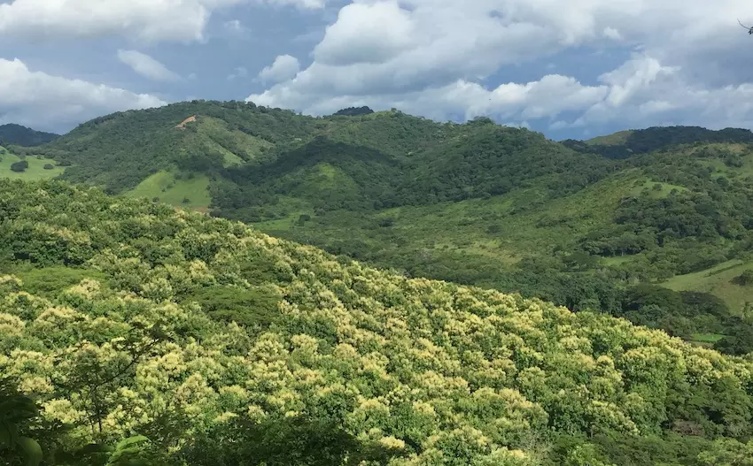 View from the top of the farm - Guanacaste Lots